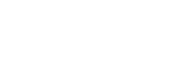 Carwiz